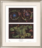 Ornamental Motifs