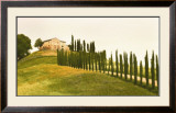 Buy Tuscan Hills at AllPosters.com