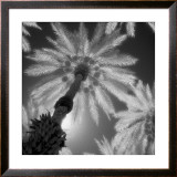 Buy Indian Wells at AllPosters.com