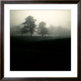 Buy Fog Tree Study II at AllPosters.com