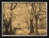 Buy Smokies Road at AllPosters.com
