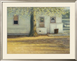 Buy Sunlit Oak at AllPosters.com