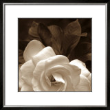 Buy Gardenia Garden at AllPosters.com