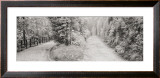 Buy Parallel Paths at AllPosters.com