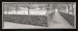 Buy Hornbeam Harbor at AllPosters.com
