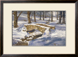 Buy Shadows and Light at AllPosters.com
