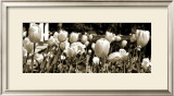 Buy Tulips in the Breeze I at AllPosters.com