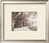 Buy Queen Elizabeth Park at AllPosters.com