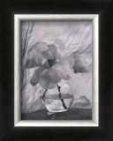 Buy Magnolia at AllPosters.com