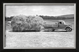 Buy American Hay Farmer at AllPosters.com