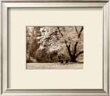 Buy Arboretum Gardens at AllPosters.com