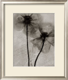 Buy Facing the Sun at AllPosters.com
