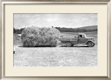 Buy American Hay Farmer at AllPosters.com