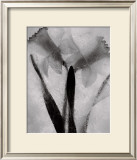 Buy Twins Forever at AllPosters.com