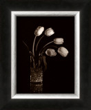 Buy Dramatic Tulips at AllPosters.com