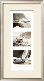 America's Cup