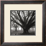 Buy Oak Grove, Winter at AllPosters.com