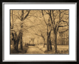 Buy Smokies Road at AllPosters.com