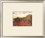 The Olive Grove, c.1889