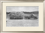 Buy American Hay Farmer at AllPosters.com