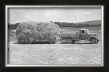 Buy American Hay Farmer at AllPosters.com