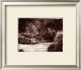 Buy Queen Anne Park at AllPosters.com
