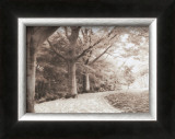 Buy Queen Elizabeth Park at AllPosters.com
