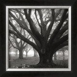 Buy Oak Grove, Winter at AllPosters.com