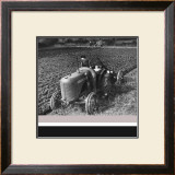 Buy Women at War: On the Land at AllPosters.com