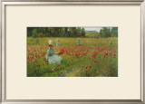 In Flanderns Field