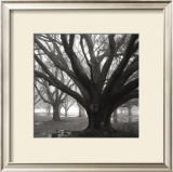 Buy Oak Grove, Winter at AllPosters.com