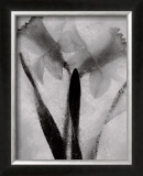Buy Twins Forever at AllPosters.com