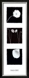 Buy Black and White at AllPosters.com