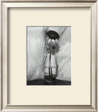 Buy Gerbera Daisies at AllPosters.com