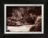 Buy Queen Anne Park at AllPosters.com