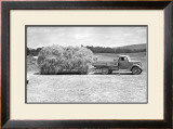 Buy American Hay Farmer at AllPosters.com