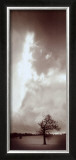 Buy Last Stand at AllPosters.com