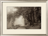 Buy Fog III at AllPosters.com