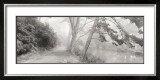 Buy Stow Lake at AllPosters.com