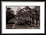 On the Avenue