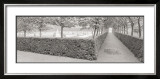 Buy Hornbeam Harbor at AllPosters.com