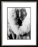Buy Alaskan Native at AllPosters.com