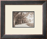 Buy Queen Elizabeth Park at AllPosters.com