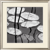 Lily Pads, Sunrise