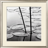 Buy Lily Pads, Dusk at AllPosters.com
