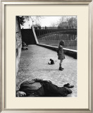 Buy Quai de Montebello, c.1951 at AllPosters.com