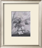 Buy Magnolia at AllPosters.com