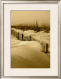 Buy Anastasia Dunes II at AllPosters.com