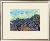 The Olive Grove, c.1889