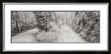 Buy Parallel Paths at AllPosters.com